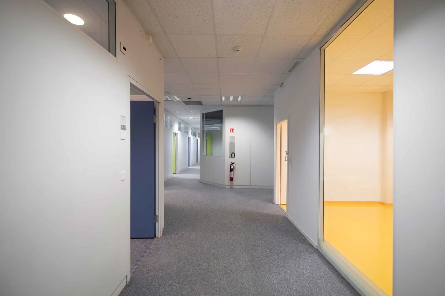 Surface à Plan-les-Ouates  –  CTN 12  –  Rez : env. 552 m² - Photo 1 of 3