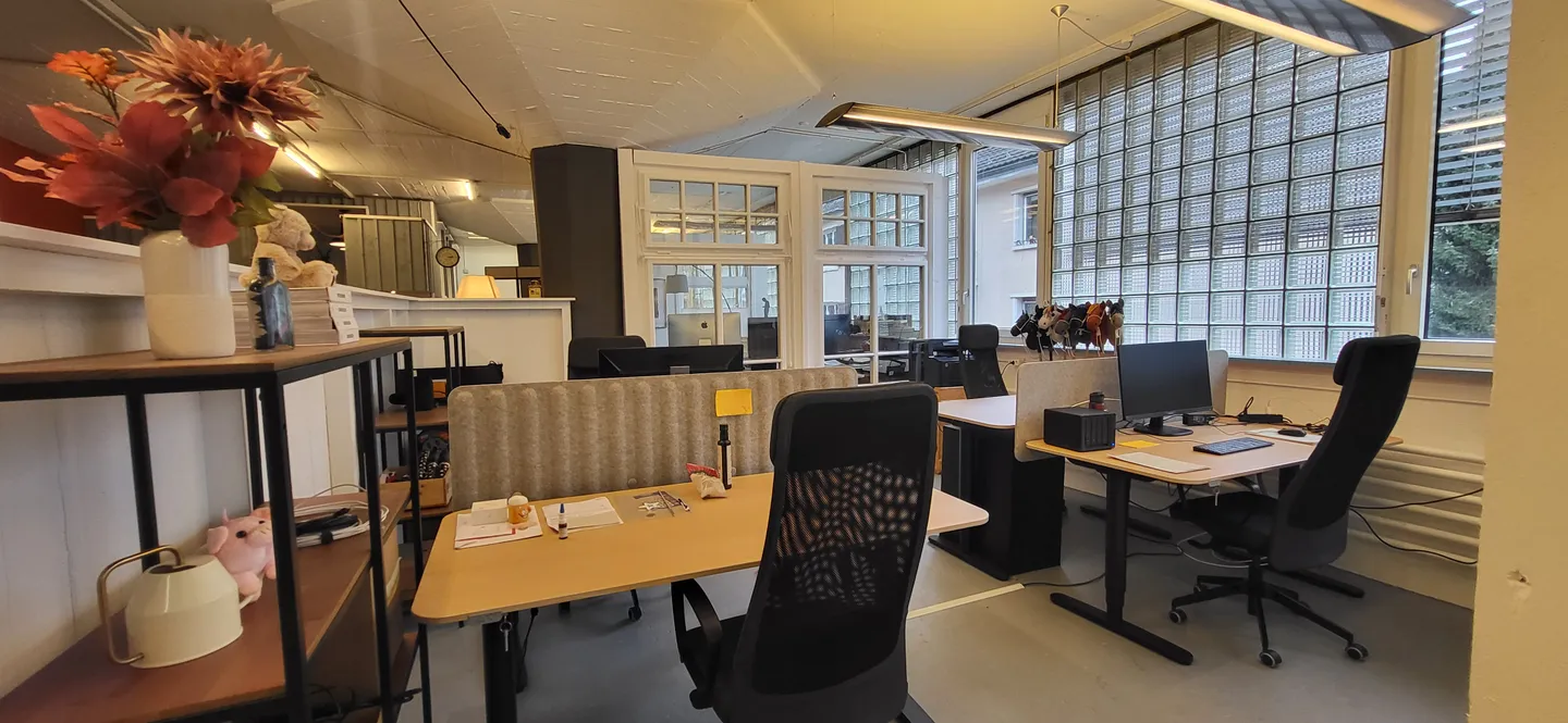 Creative Office Space in Zurich - Photo 6 of 13