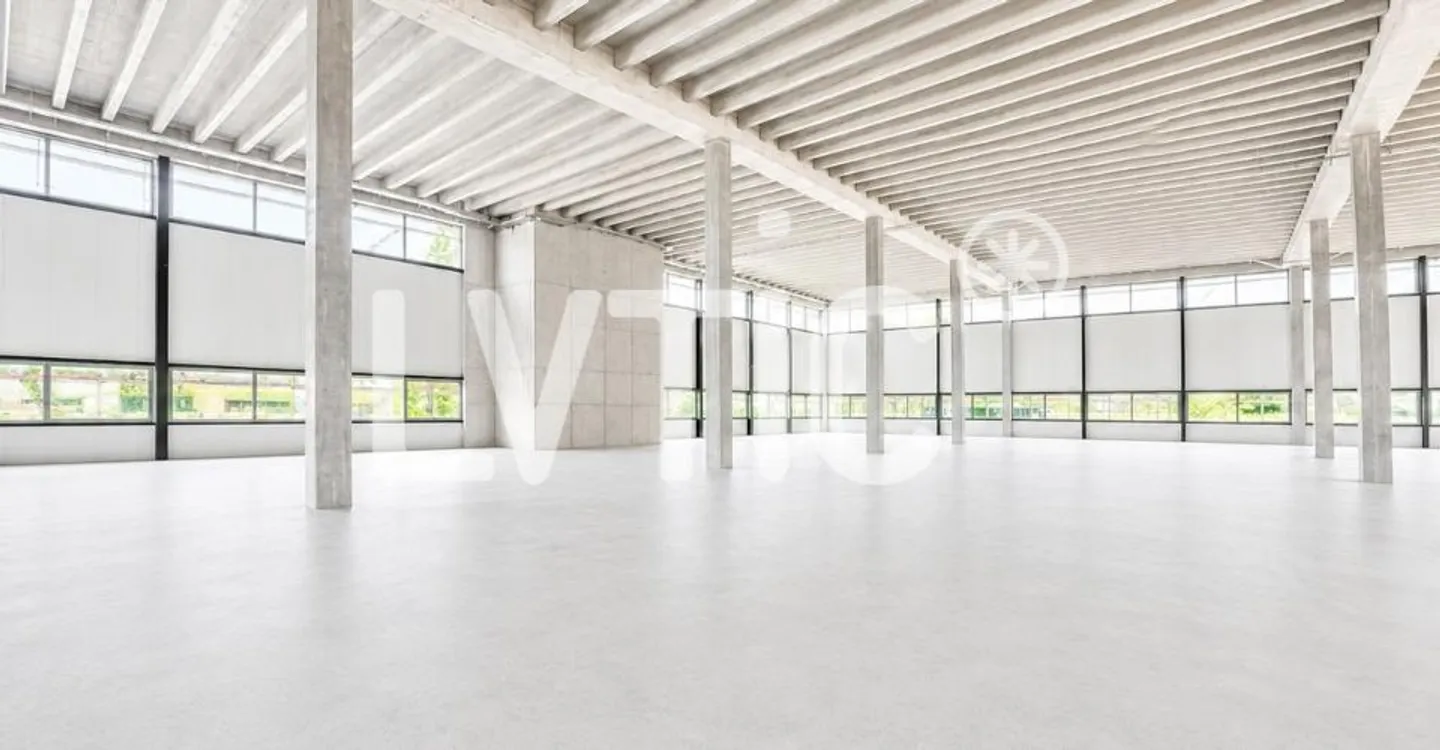 Halle industrielle et bureaux - Photo 4 sur 13