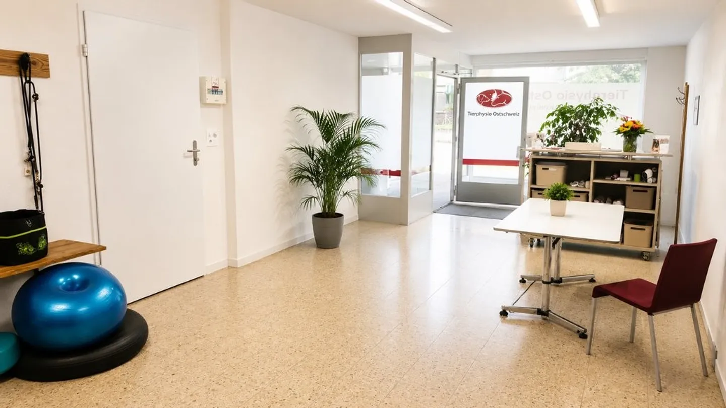 Commercial premises in the middle of Abtwil - Photo 2 of 7