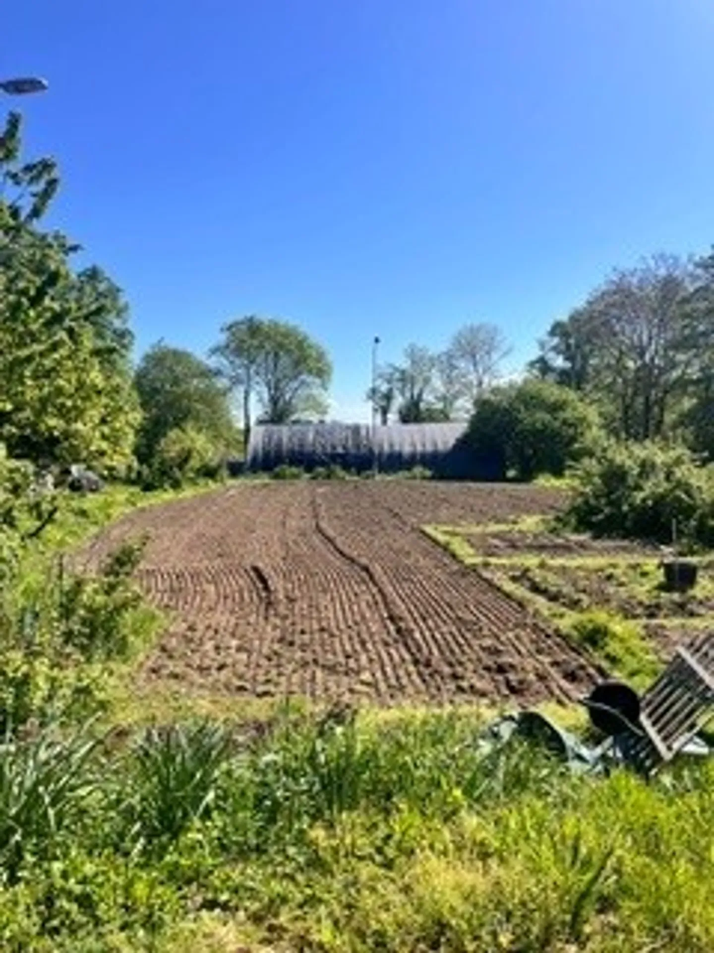 Familiengarten - Foto 1 von 3