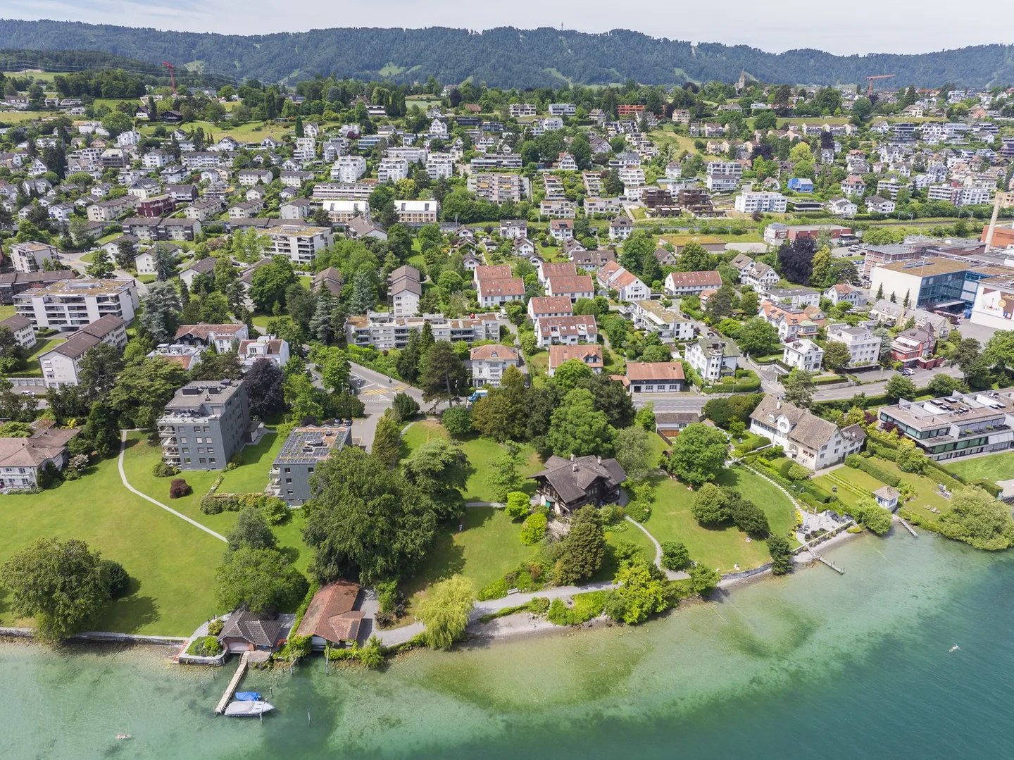 Representative Office Villa at Lake Zurich - Single Tenant Wanted - Photo 4 of 13