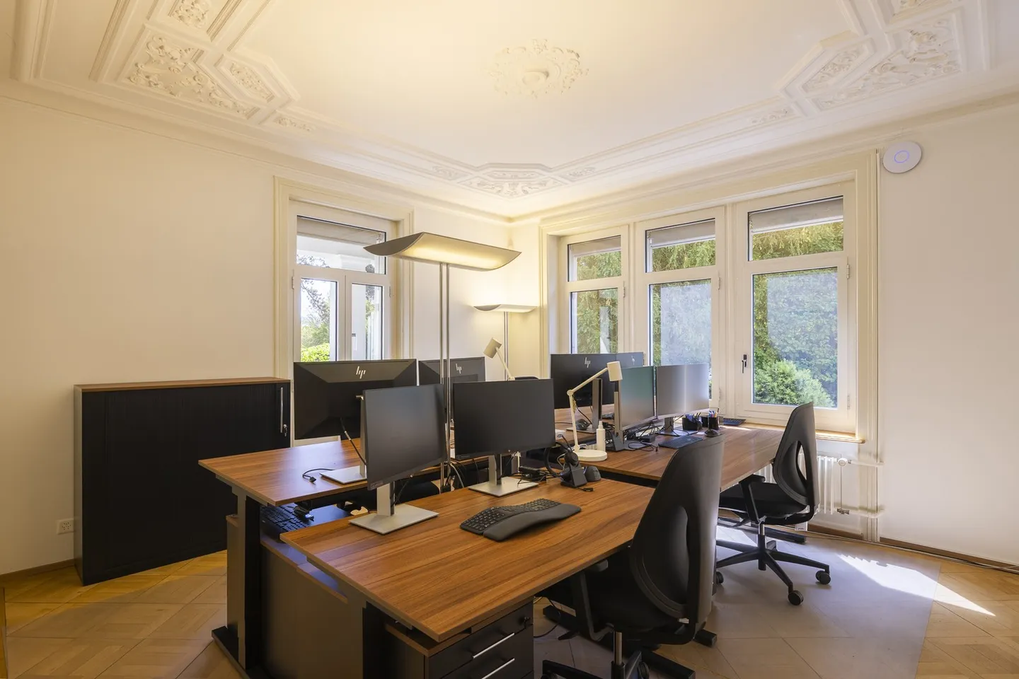 Representative Office Villa at Lake Zurich - Single Tenant Wanted - Photo 10 of 13