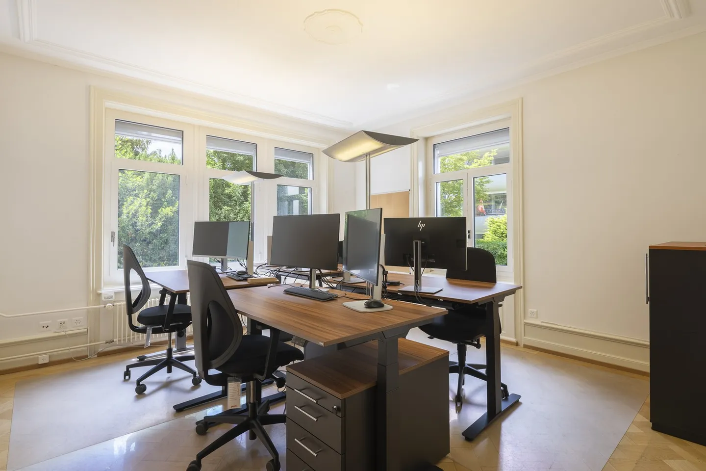 Representative Office Villa at Lake Zurich - Single Tenant Wanted - Photo 11 of 13