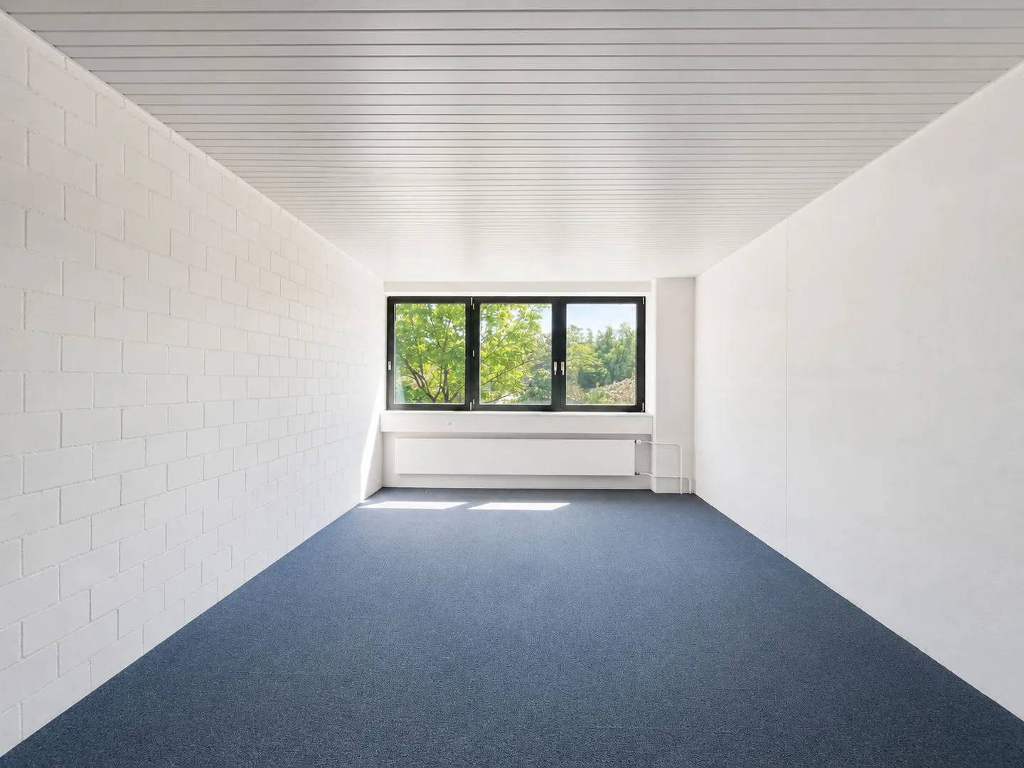 Entire building section and approx. 1,500 m² outdoor area available! - Photo 11 of 13
