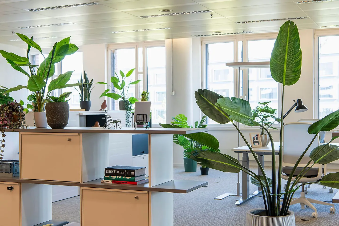 Modern office in Oerlikon's innovation district - Photo 12 of 13