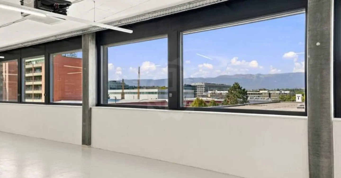 Spacious Industrial Space - Plan-les-Ouates - Photo 5 of 6