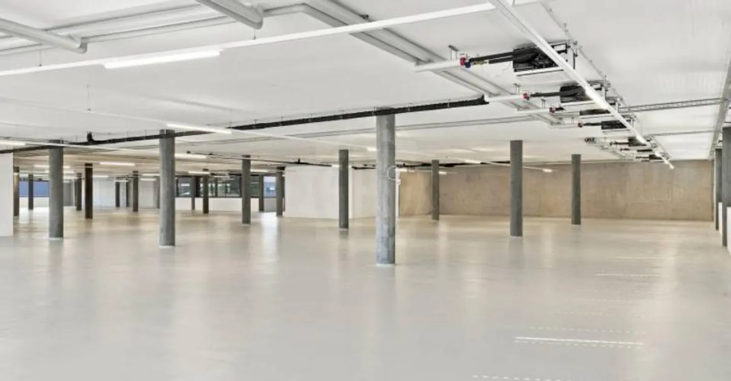Spacious Industrial Space - Plan-les-Ouates - Photo 3 of 6