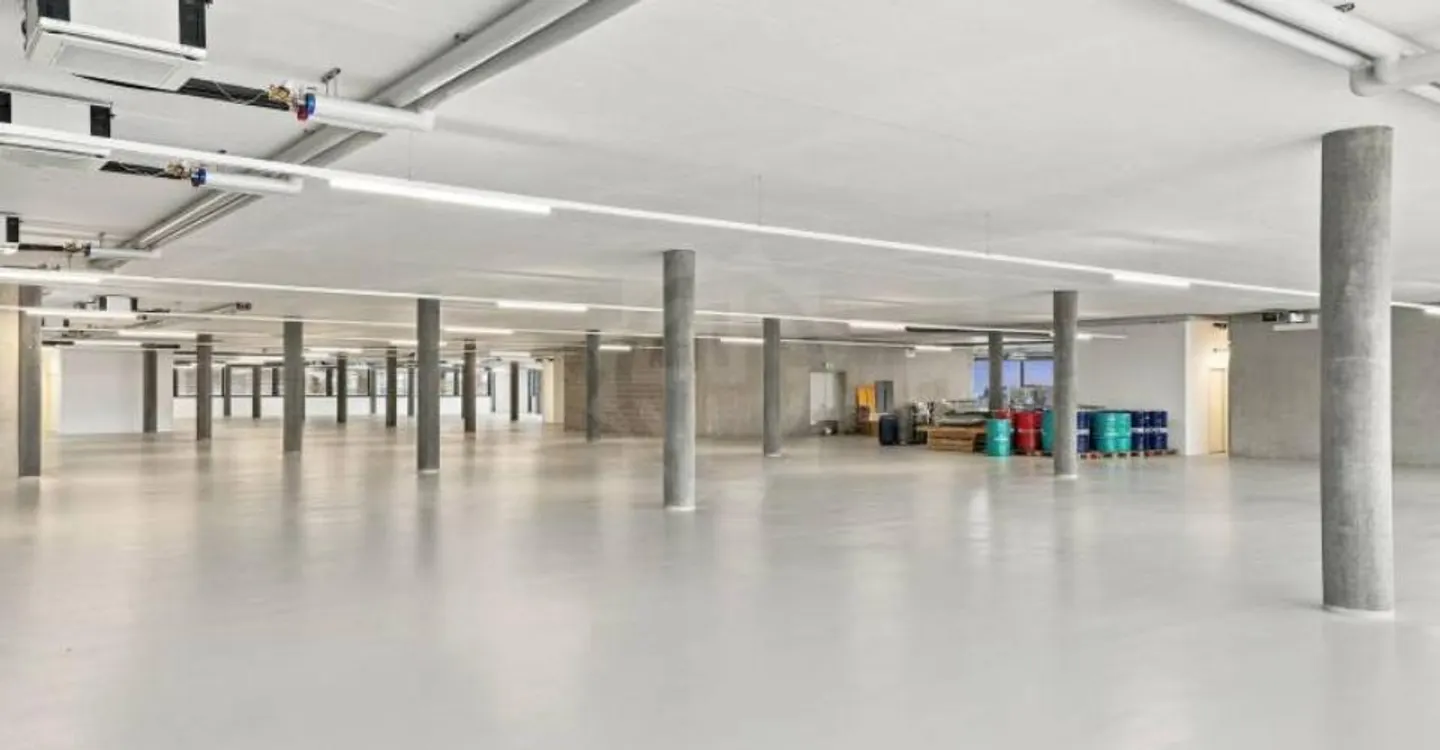 Spacious Industrial Space - Plan-les-Ouates - Photo 4 of 6