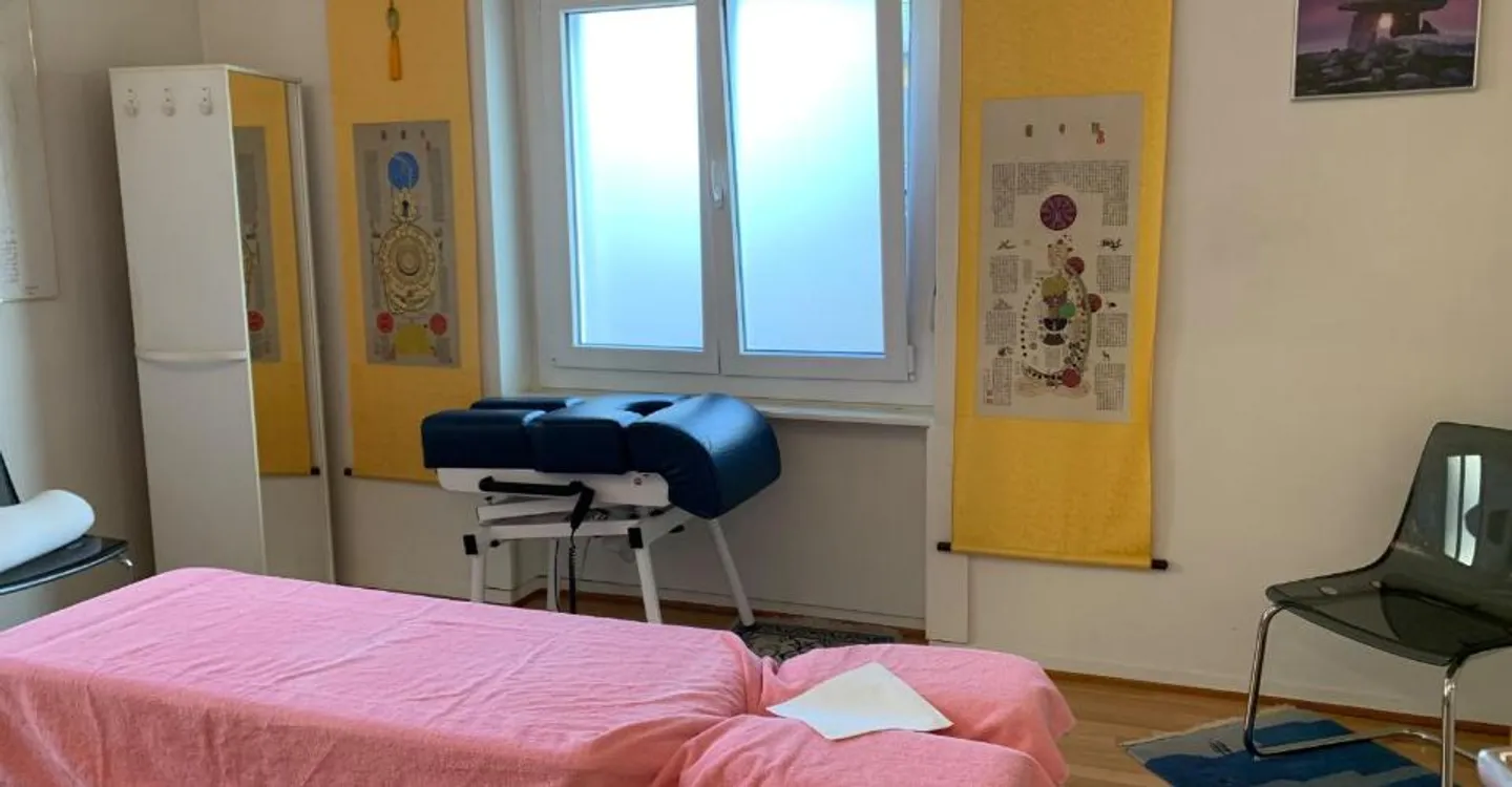 Medical cabinet currently operated as a physiotherapy and osteopathy cabinet, suitable for two people - Photo 3 of 10