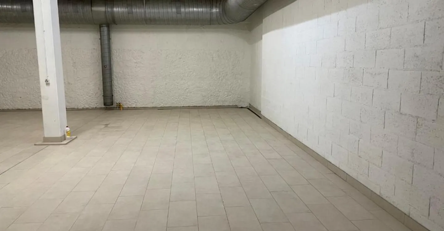 GROSSER KELLERLAGER ZU VERMIETEN IM VIERTEL L'ETOILE - Foto 6 von 9