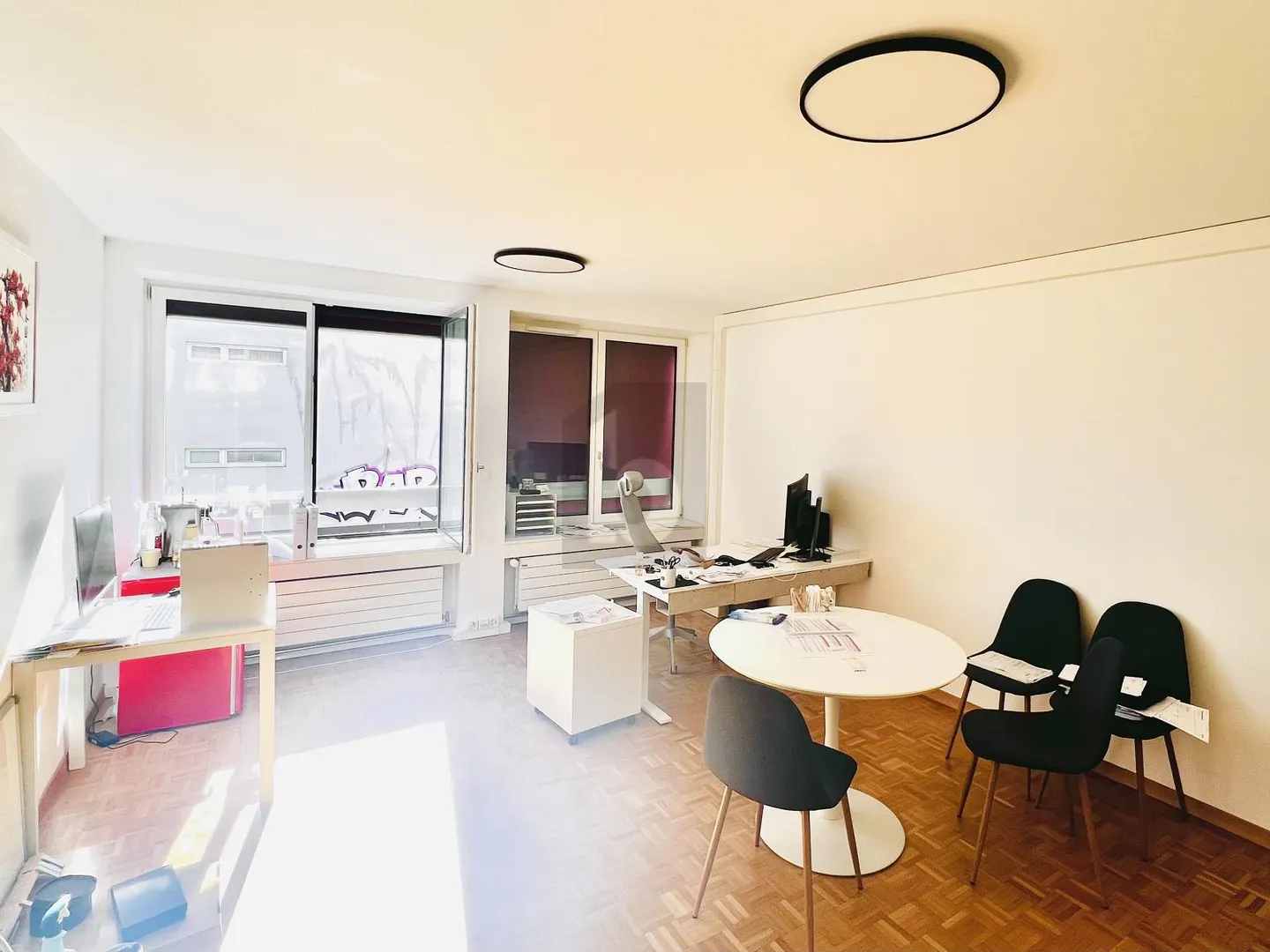 CENTRO CITTADINO, CON VISTA SUL SALÈVE - Foto 2 di 6