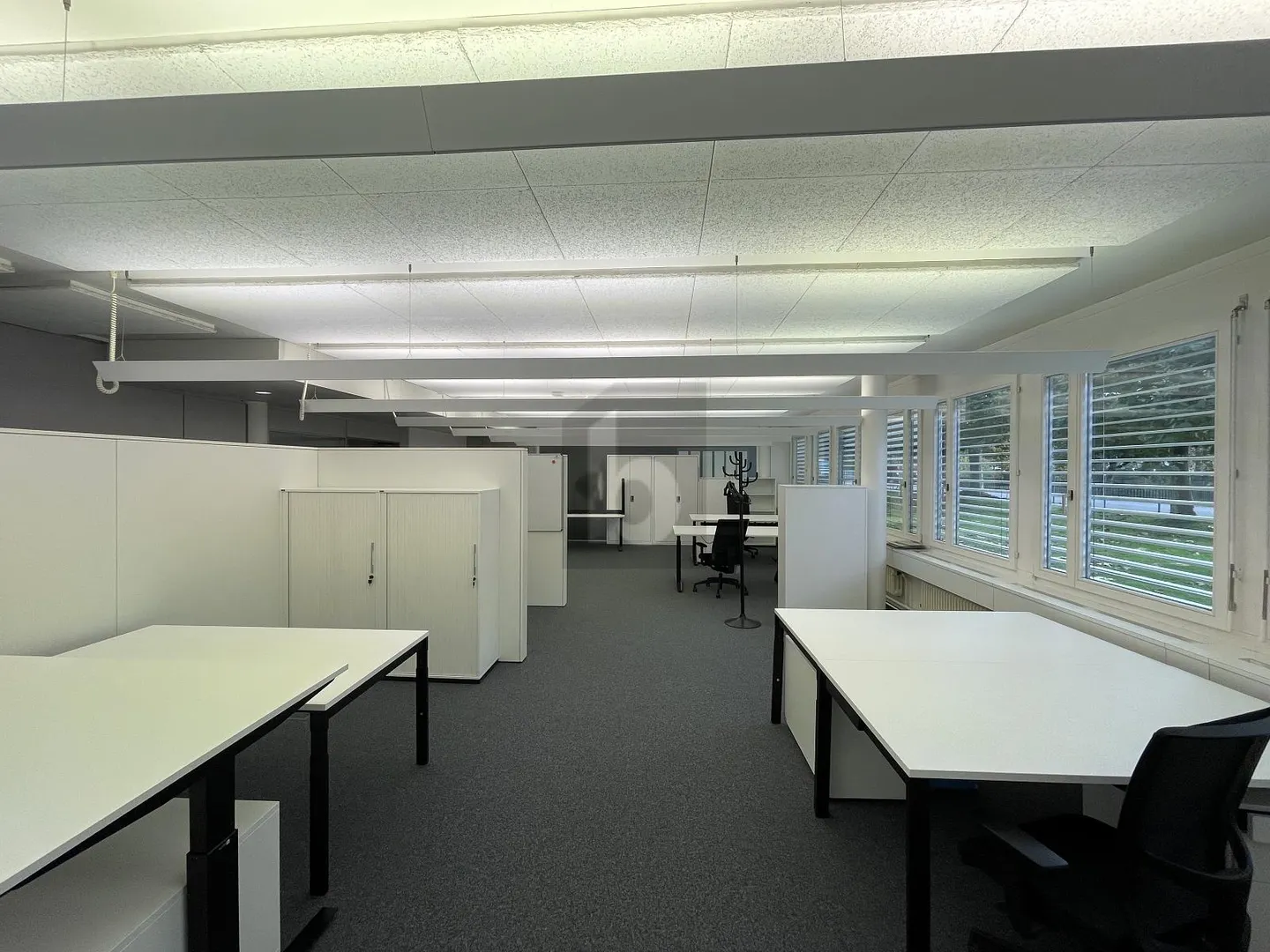Geräumige Bürofläche in Arbon - Foto 5 von 6