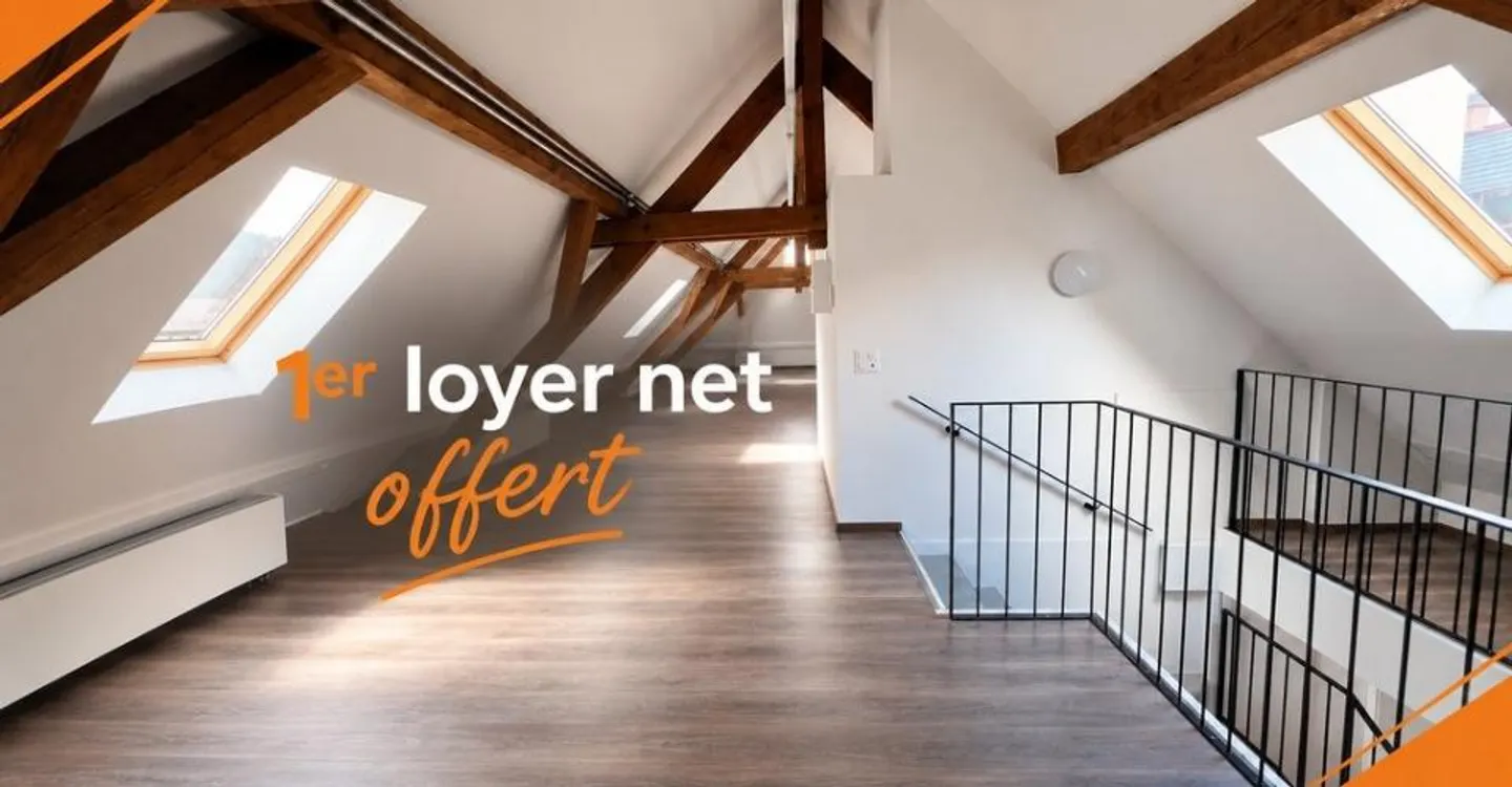 Duplex 100 m2 - local commercial ou appartement centre-ville - Foto 1 von 10
