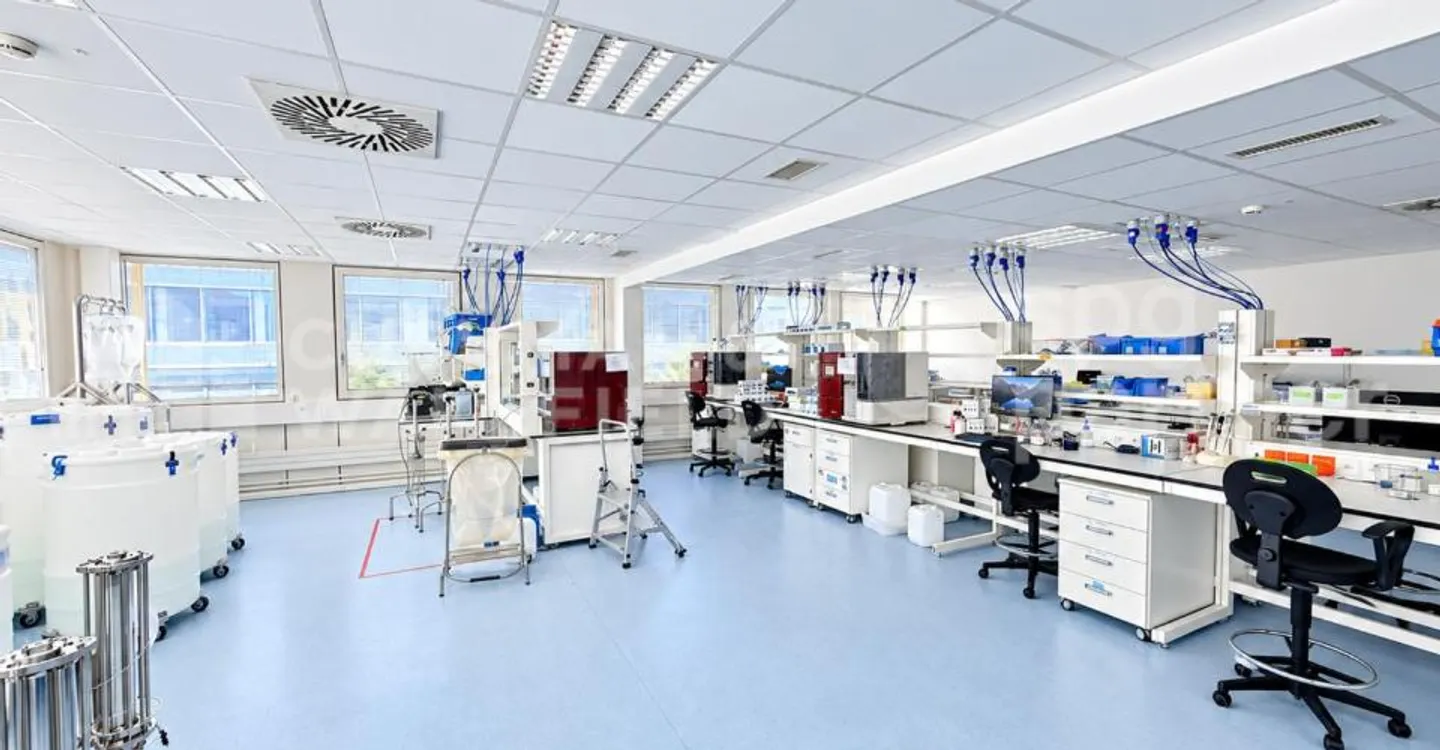 1.500 m² Laboratorien und Büros zur Miete in der Nähe von Genf - CTN 14 - Foto 3 von 13