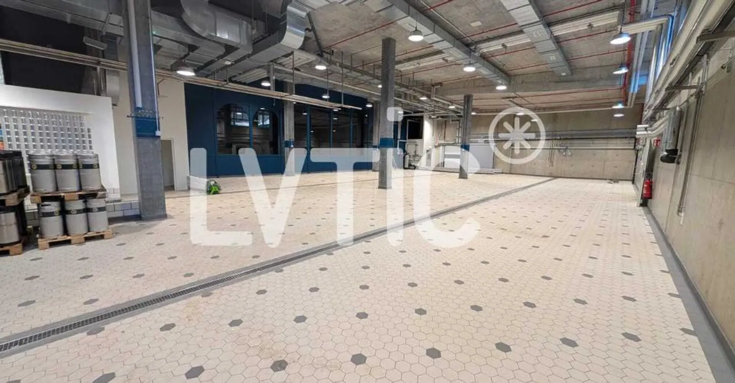 Deposito, laboratorio, laboratorio di 800 m2 in affitto a Bussigny - Foto 2 di 10