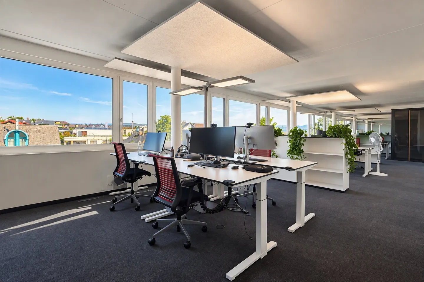 Spacious Office Space in Freienbach - Photo 9 of 13