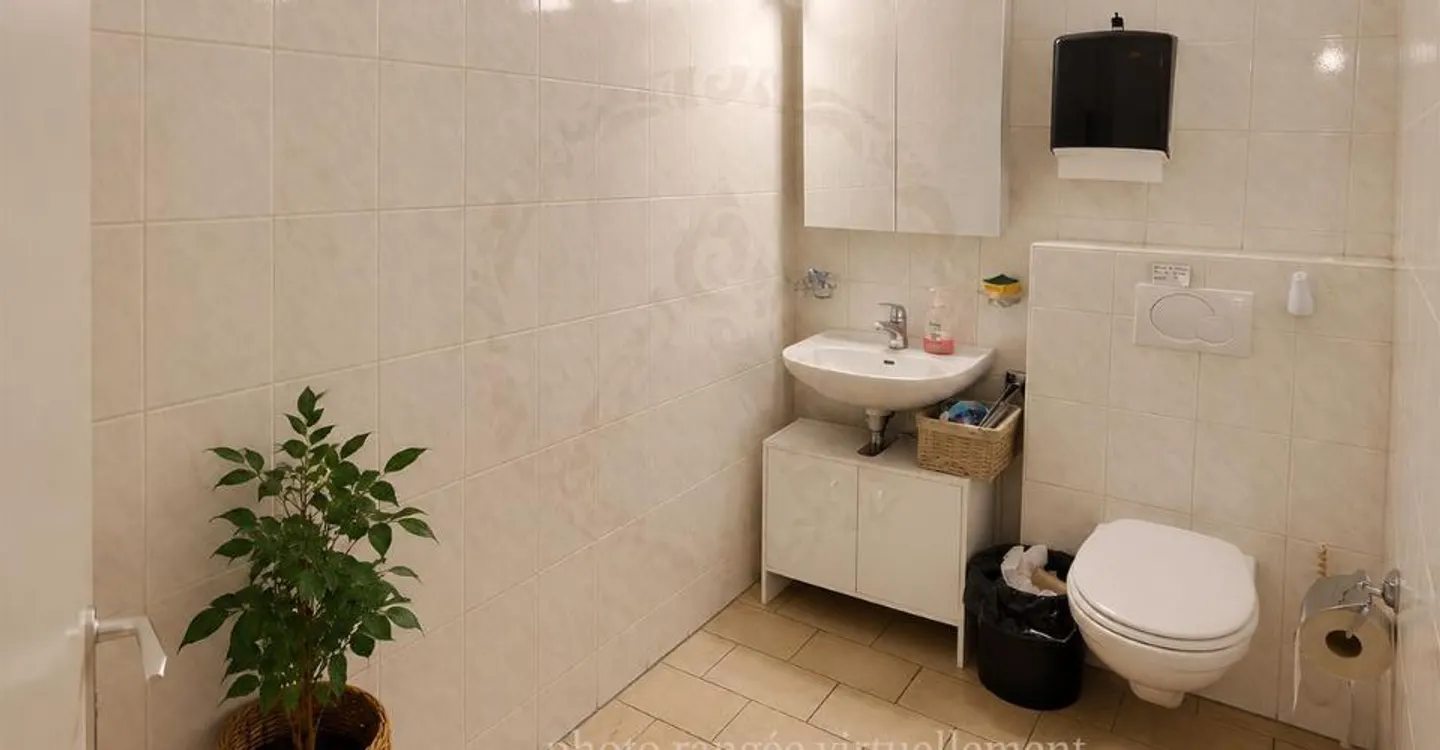 Espace Commercial au Cœur de Sion - Photo 7 sur 13