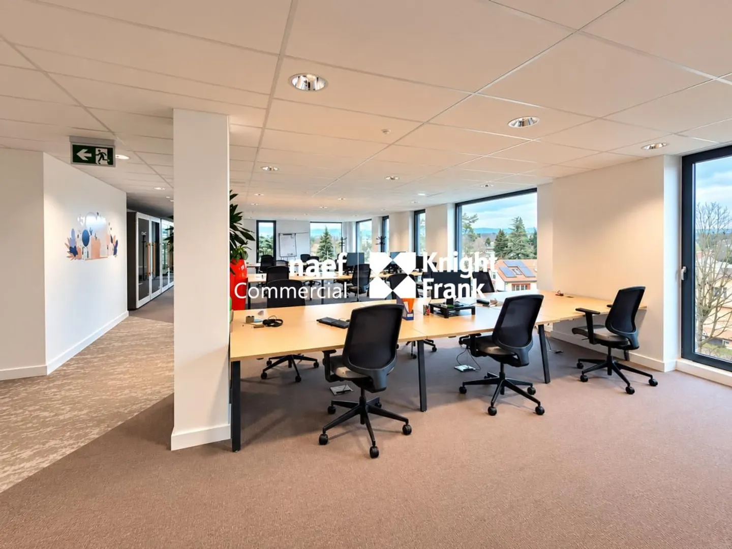 Thônex - 303 m² activity space in a recent building - Photo 2 of 10