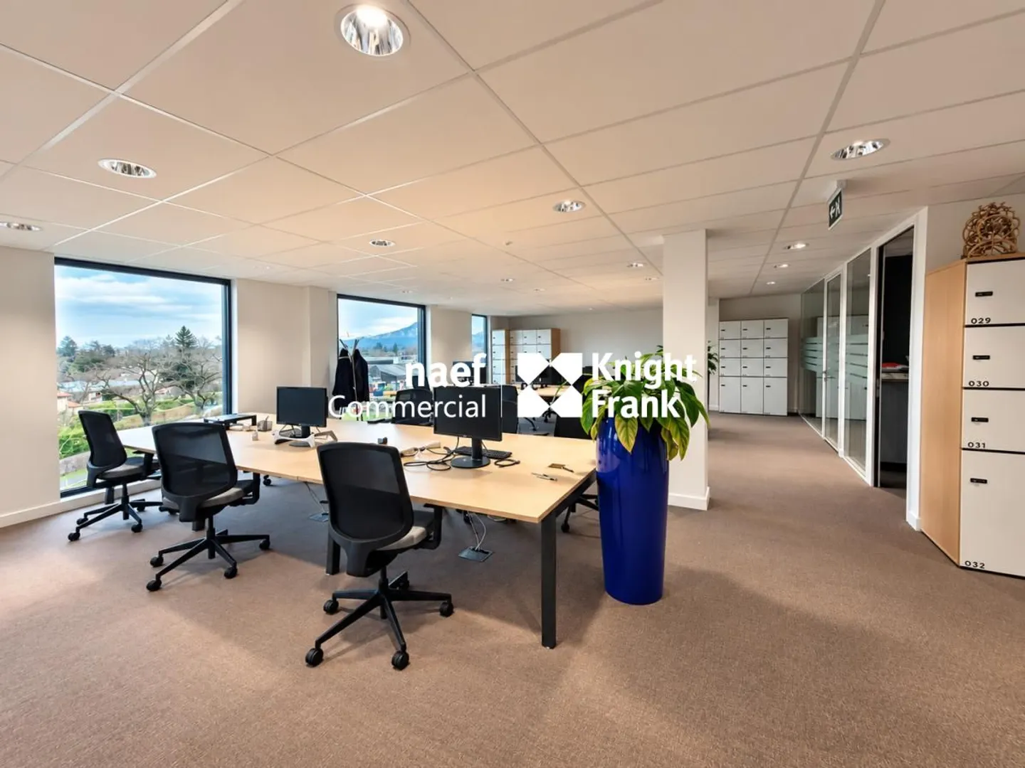 Thônex - 303 m² activity space in a recent building - Photo 3 of 10