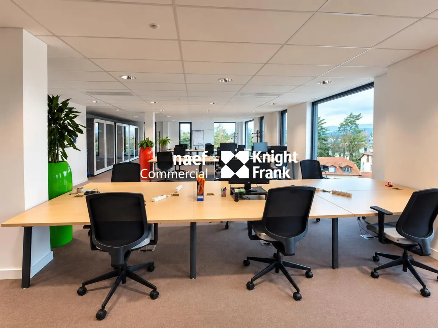 Thônex - 303 m² activity space in a recent building - Photo 7 of 10