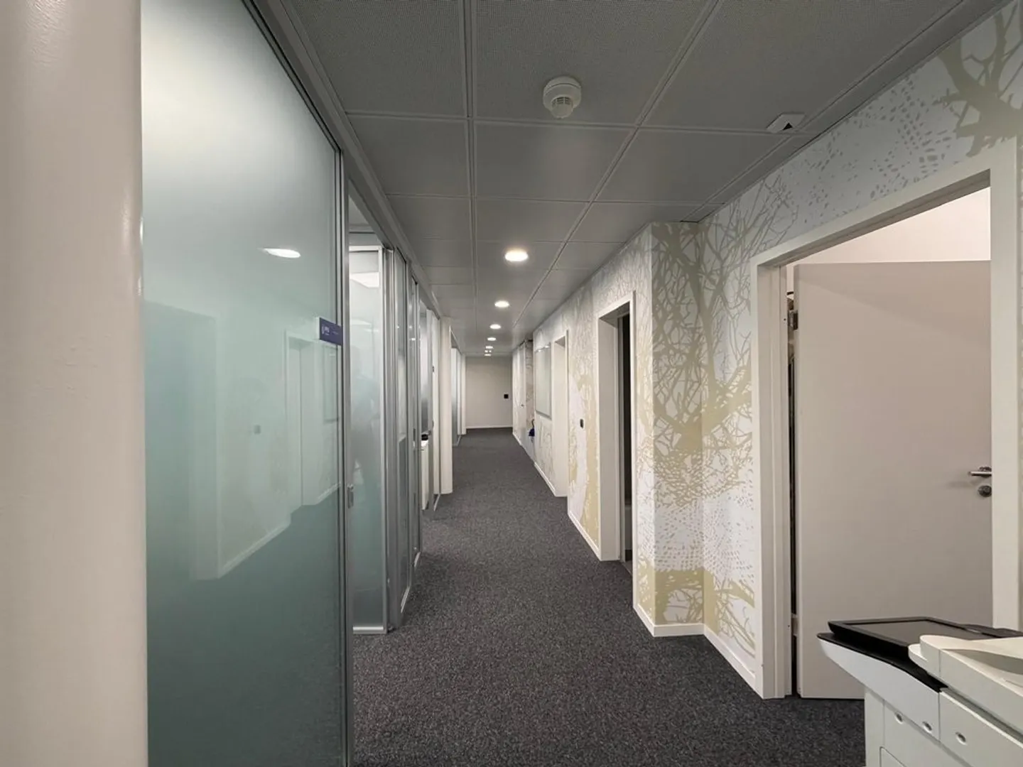 Spacious office in a strategic location in Lugano - Photo 2 of 6