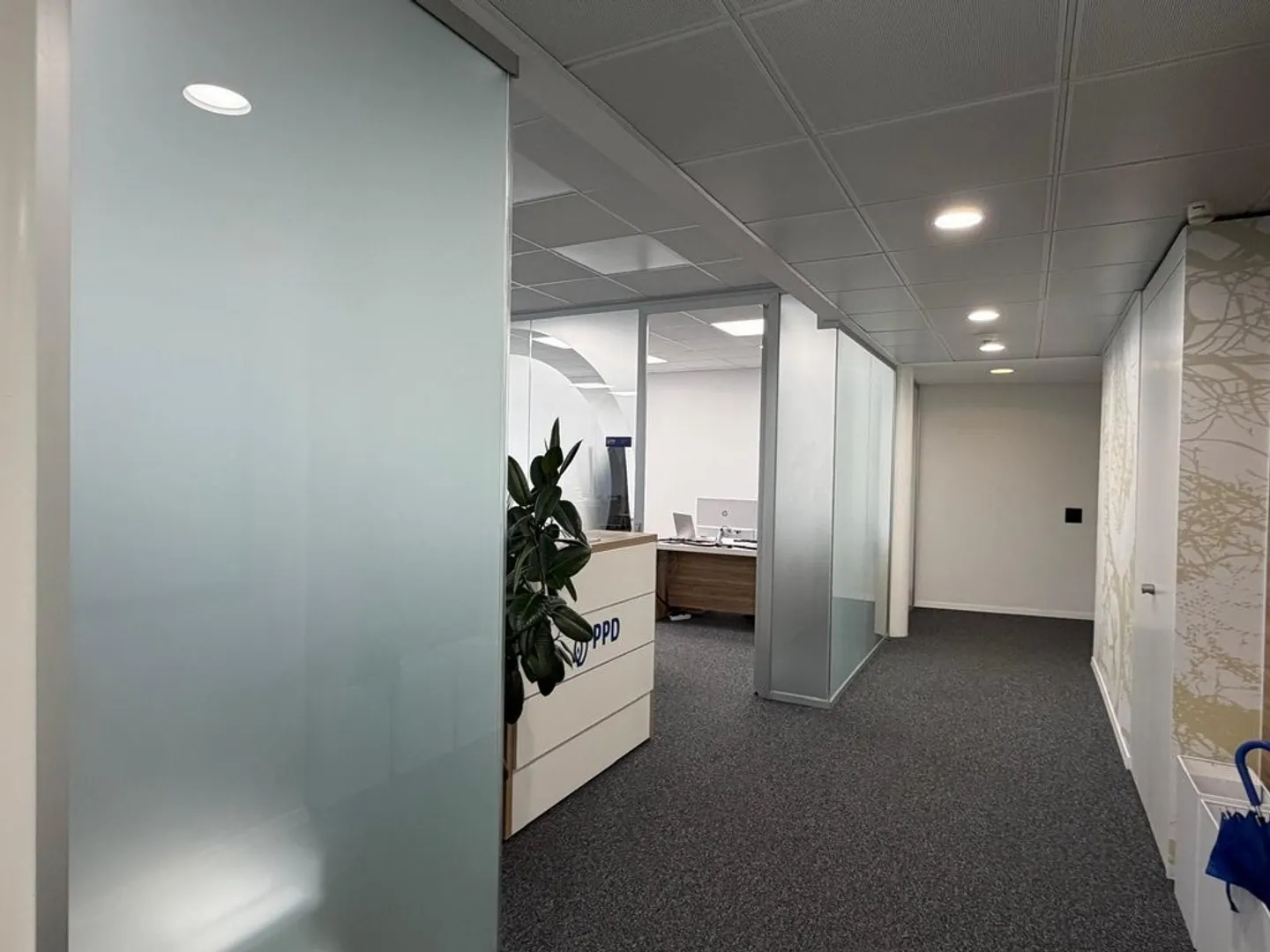 Spacious office in a strategic location in Lugano - Photo 4 of 6