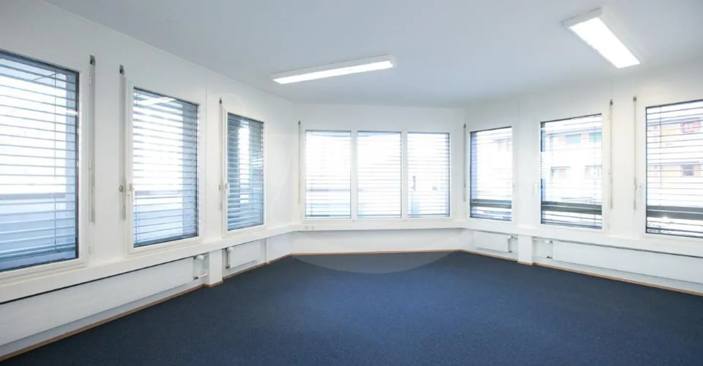 62 Rue de Vermont, bright professional space of 478 m2 - Photo 2 of 10