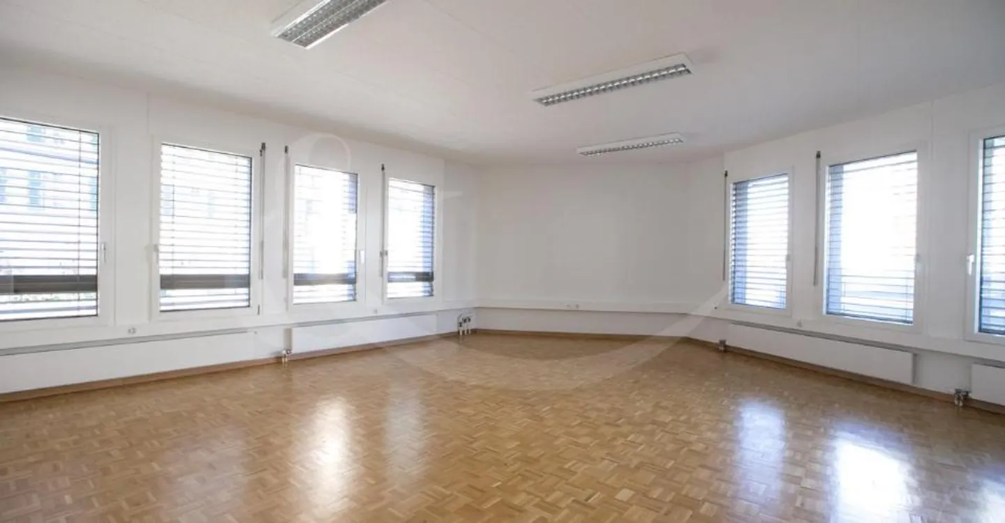 62 Rue de Vermont, bright professional space of 478 m2 - Photo 6 of 10