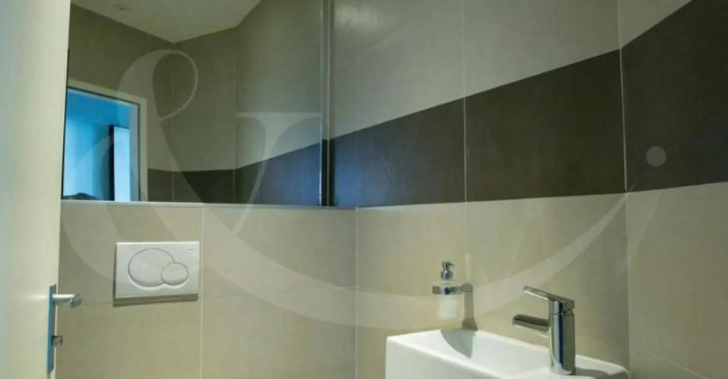 62 Rue de Vermont, bright professional space of 478 m2 - Photo 8 of 10