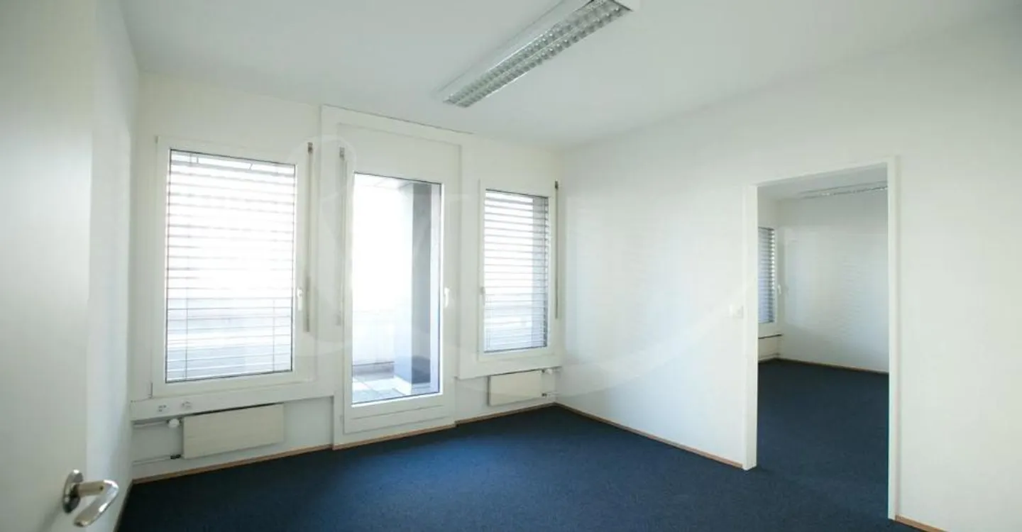 62 Rue de Vermont, bright professional space of 478 m2 - Photo 4 of 10