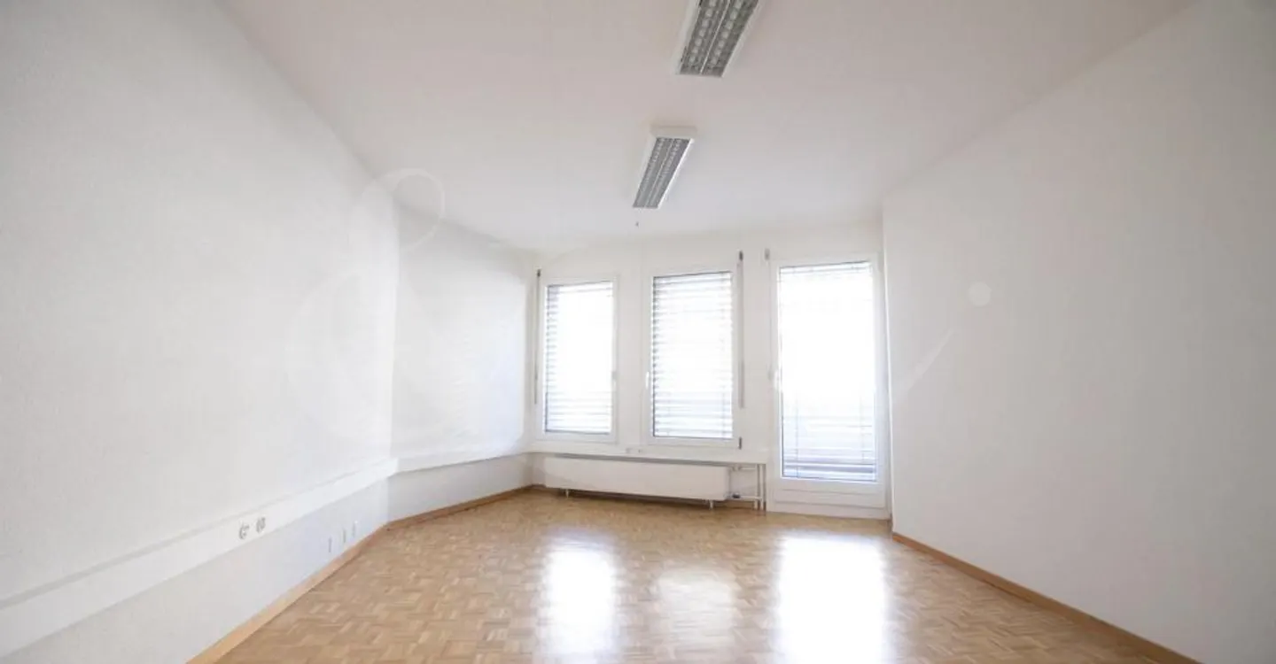 62 Rue de Vermont, bright professional space of 478 m2 - Photo 5 of 10