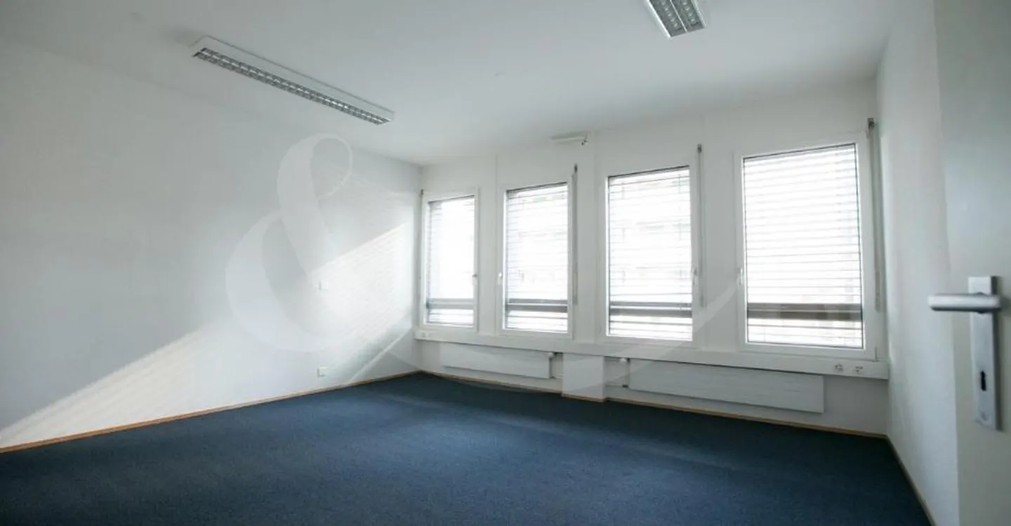 62 Rue de Vermont, bright professional space of 478 m2 - Photo 10 of 10