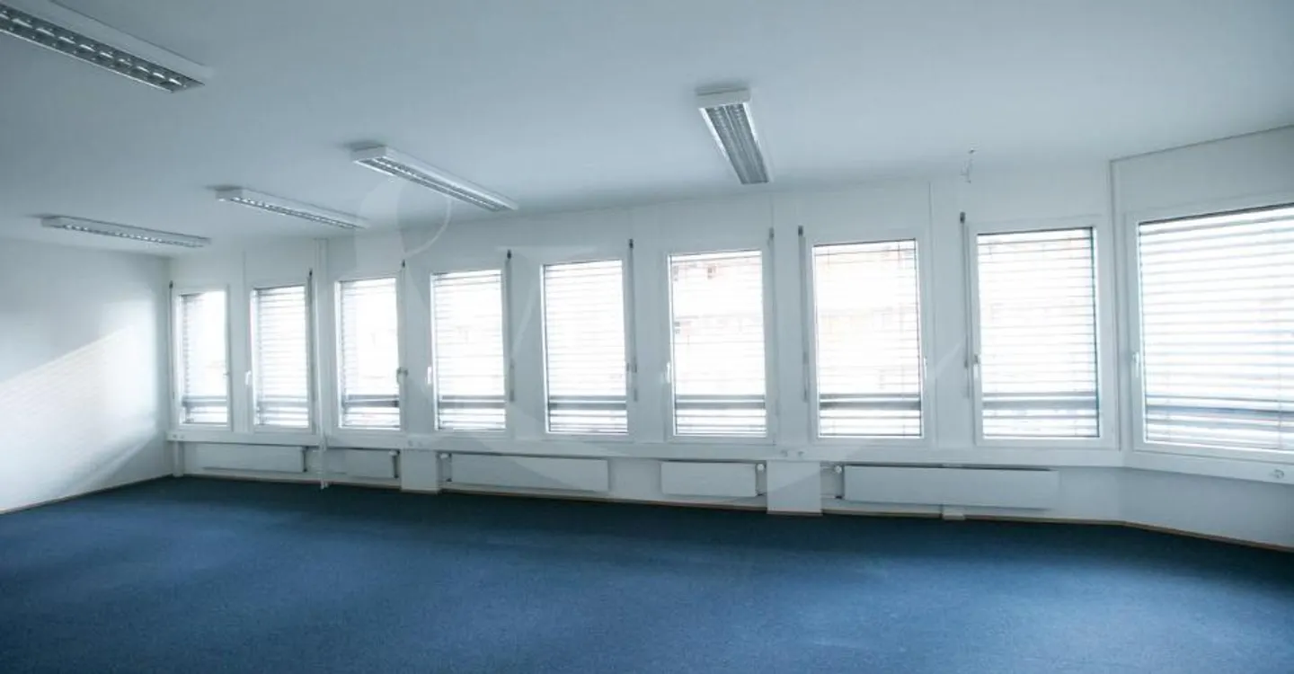 62 Rue de Vermont, bright professional space of 478 m2 - Photo 3 of 10