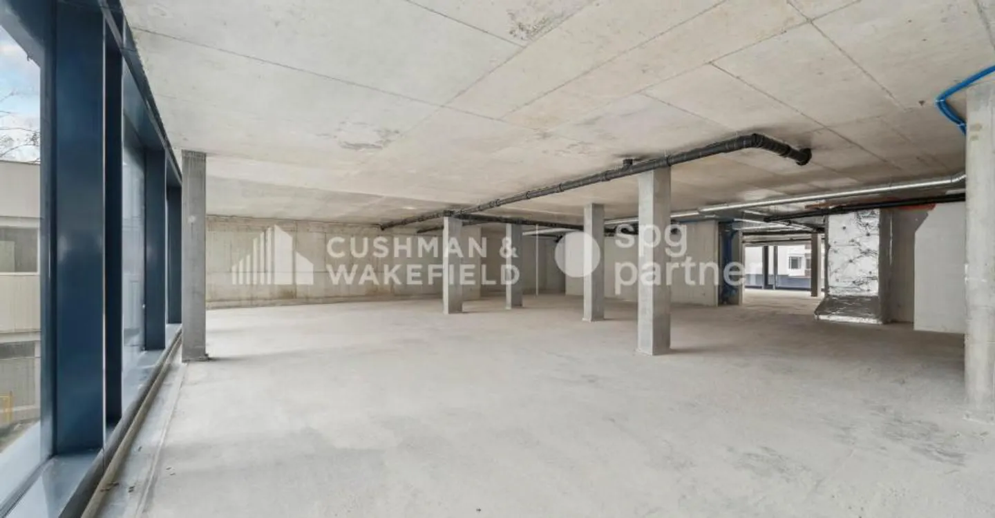 Trembley 12, professionelle Fläche von 328 m² im Herzen eines privaten Parks - Foto 8 von 13
