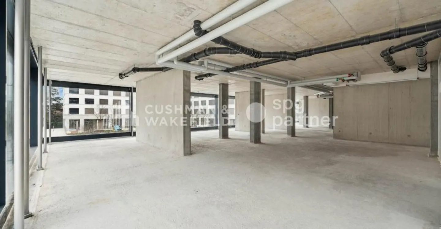 Trembley 12, professionelle Fläche von 328 m² im Herzen eines privaten Parks - Foto 12 von 13