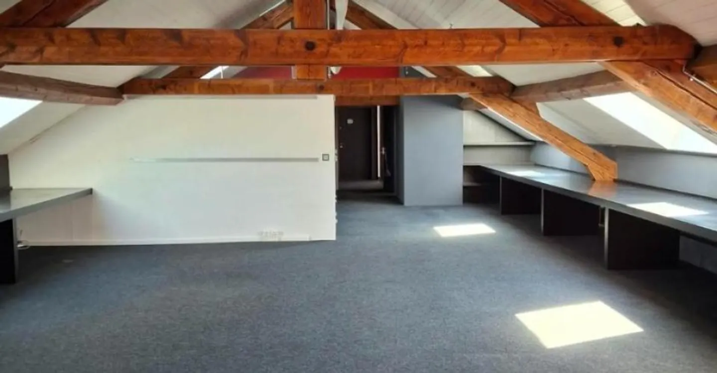 Espace de Bureaux Charmant à Carouge - Photo 2 sur 13