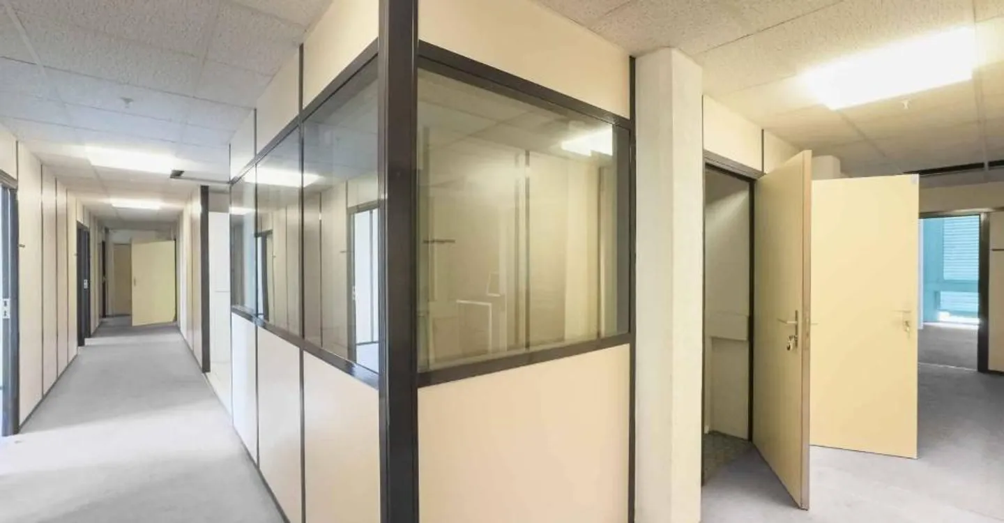 Workshop or office space of 290 m² in Carouge - Photo 3 of 9