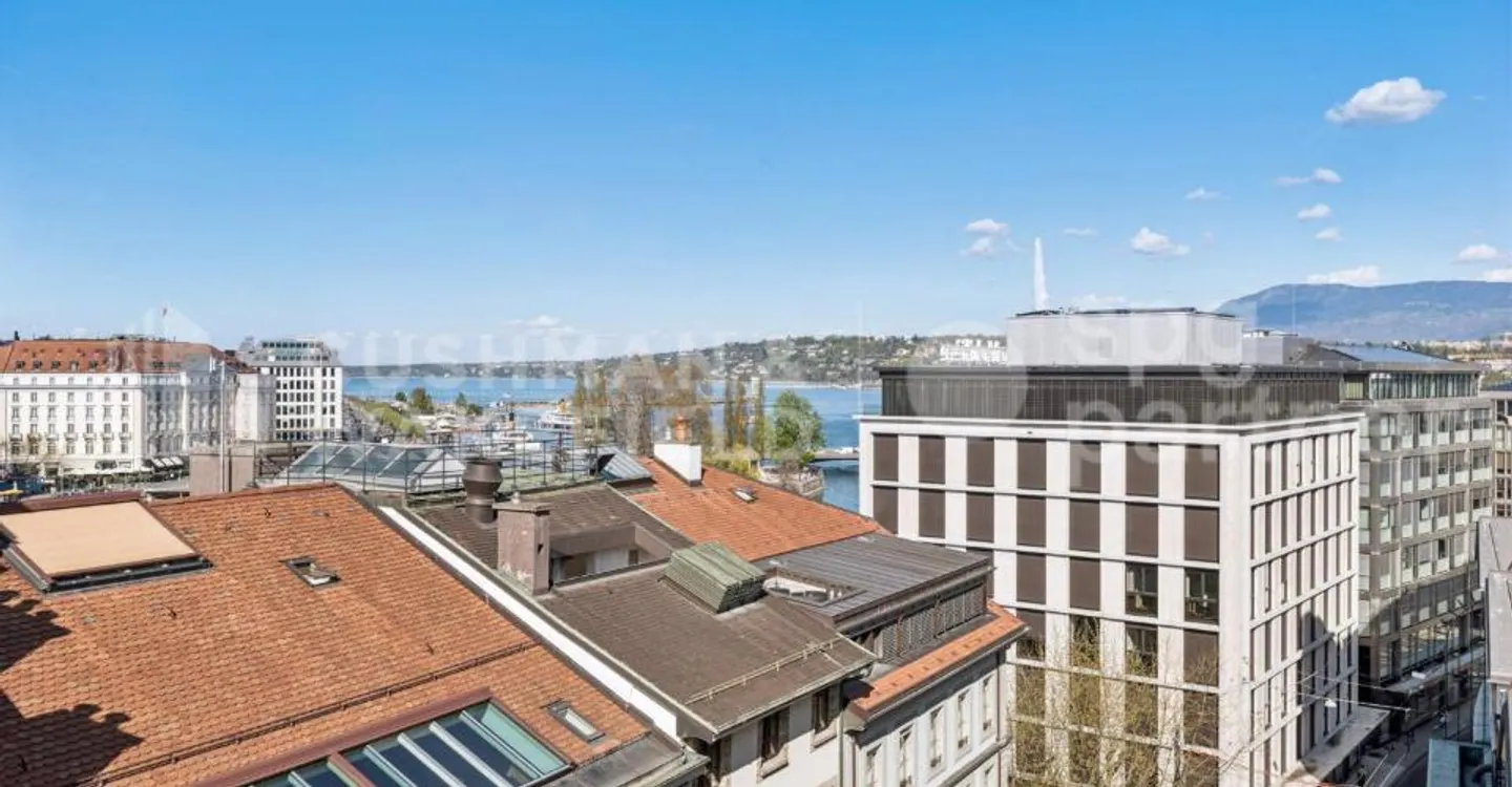Premium Offices a Stone's Throw from the Lake - Rhône 8 - Photo 7 of 12