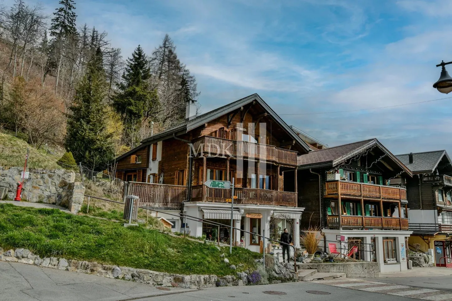 Magnificent chalet including an apartment and a commercial space in Leysin - Photo 1 of 13