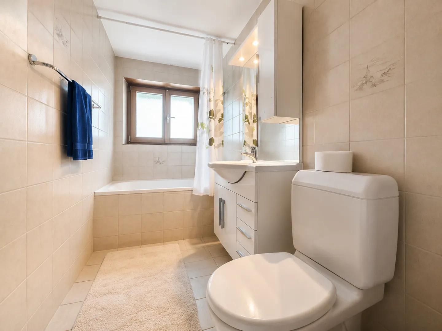 Investment Opportunity in Riddes - Photo 6 of 8