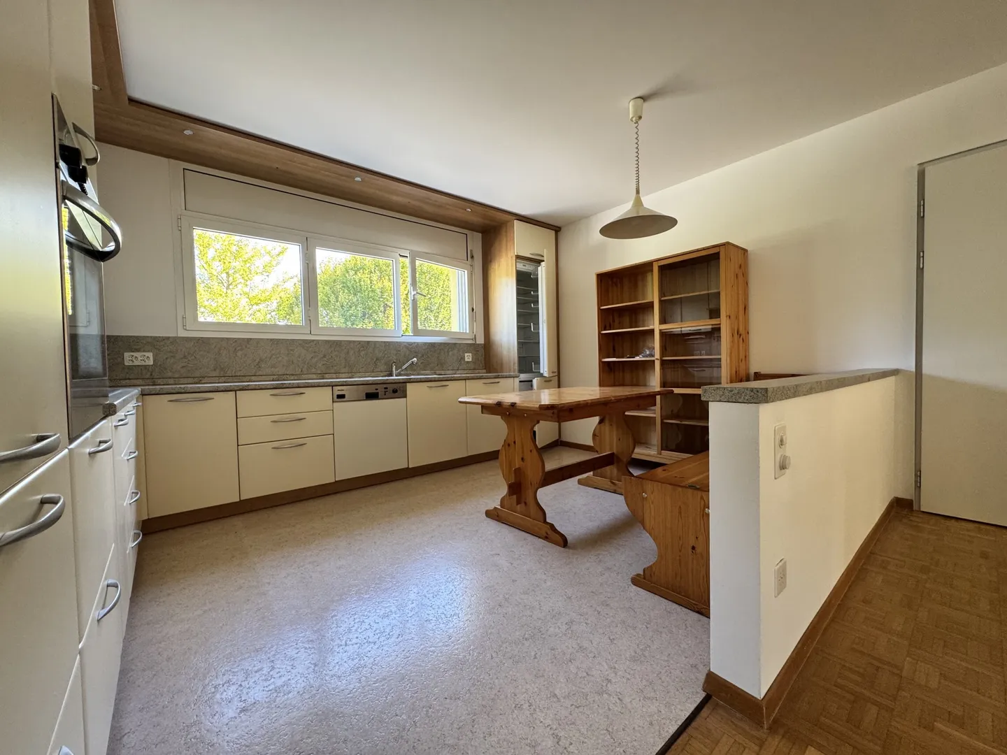 SPACIOUS 3.5 WITH PRIVATE GARDEN IN A TWO-FAMILY HOUSE IN LUGAGGIA - Photo 3 of 10