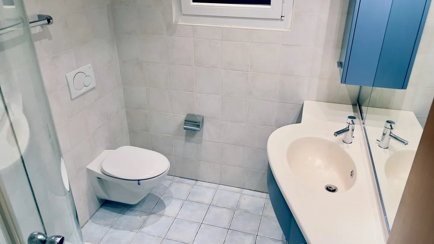 À LOUER 3.5 PIÈCES AVEC JARDIN VUE SUR LE LAC À BOSCO LUGANESE - Photo 7 sur 10