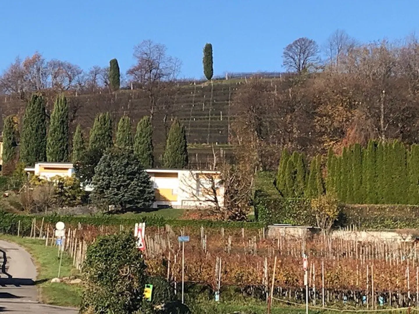 VILLA INDIPENDENTE CON AMPIO GIARDINO A STABIO - Foto 3 di 11