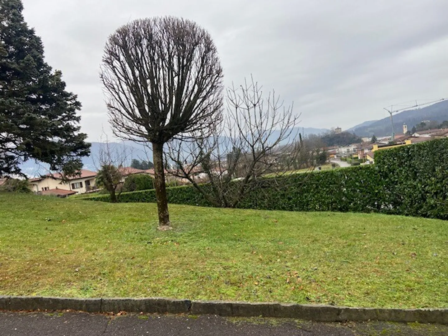 BAUBARES GRUNDSTÜCK VON 705 QM IM BEREICH MONTALBANO IN STABIO - Foto 6 von 6