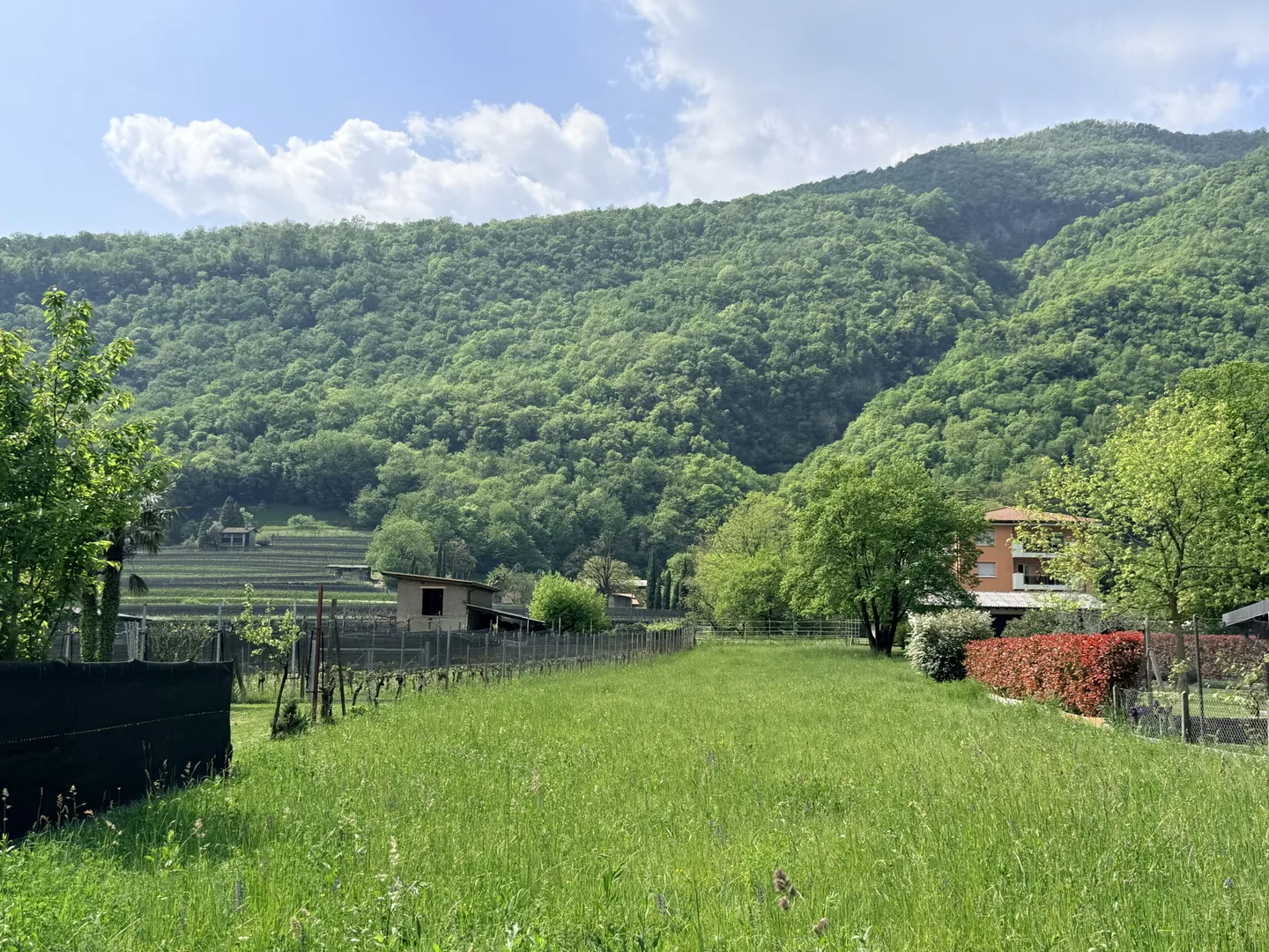 Terreno edificabile a Riva San Vitale - Foto 1 di 3