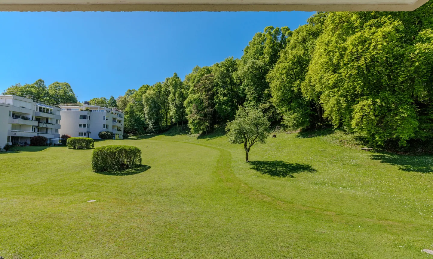RENT TO BUY - SPLENDIDO 3.5 LOCALI CON TERRAZZA A CARONA - Photo 3 of 13
