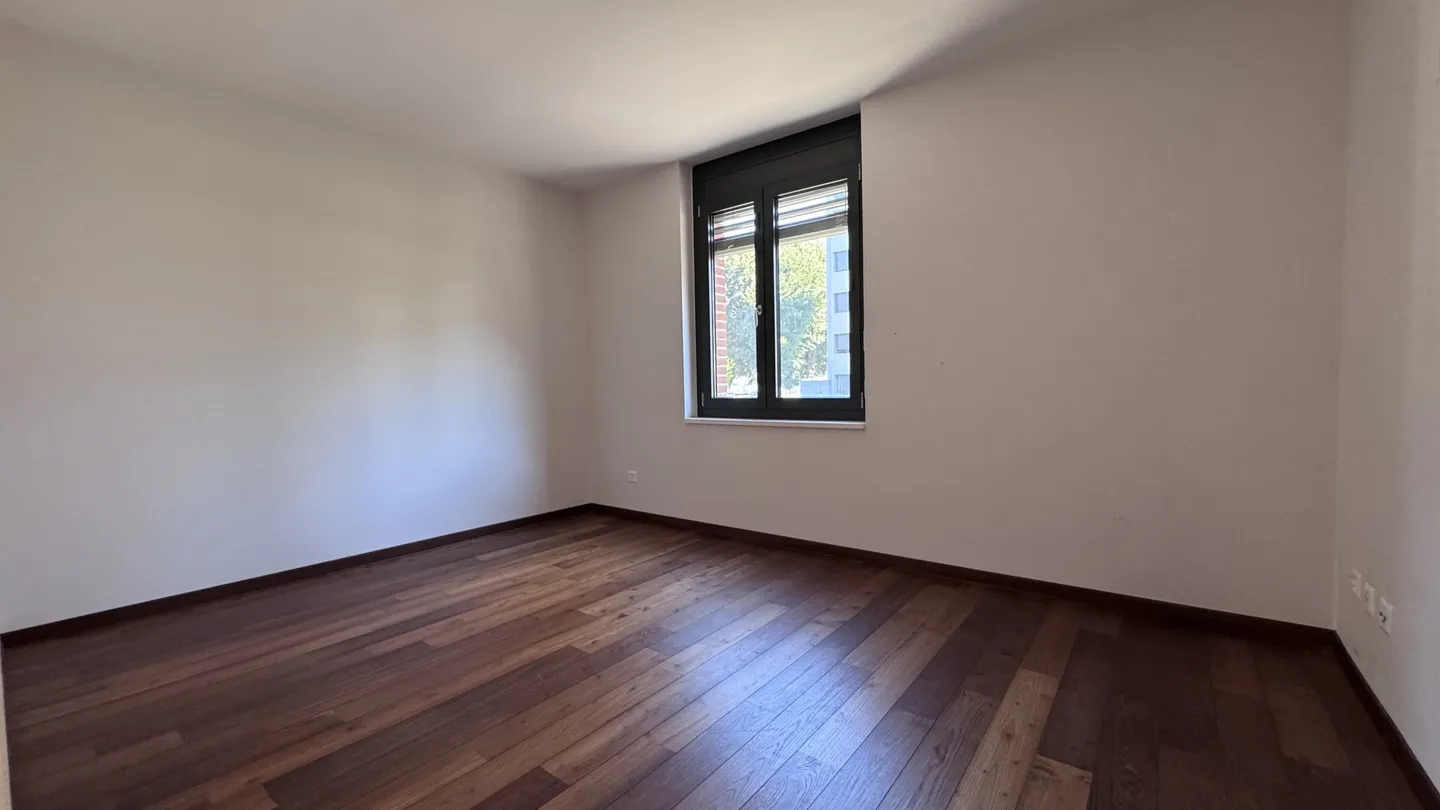 AMPIO 4.5 LOCALI CON TERRAZZA E POSTEGGI A LUGANO-PREGASSONA - Photo 7 of 11
