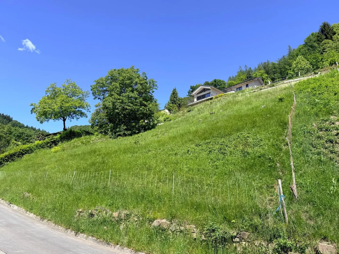 BAUBARES GRUNDSTÜCK VON 1237 MQ MIT PANORAMABLICK - ARANNO - Foto 3 von 6