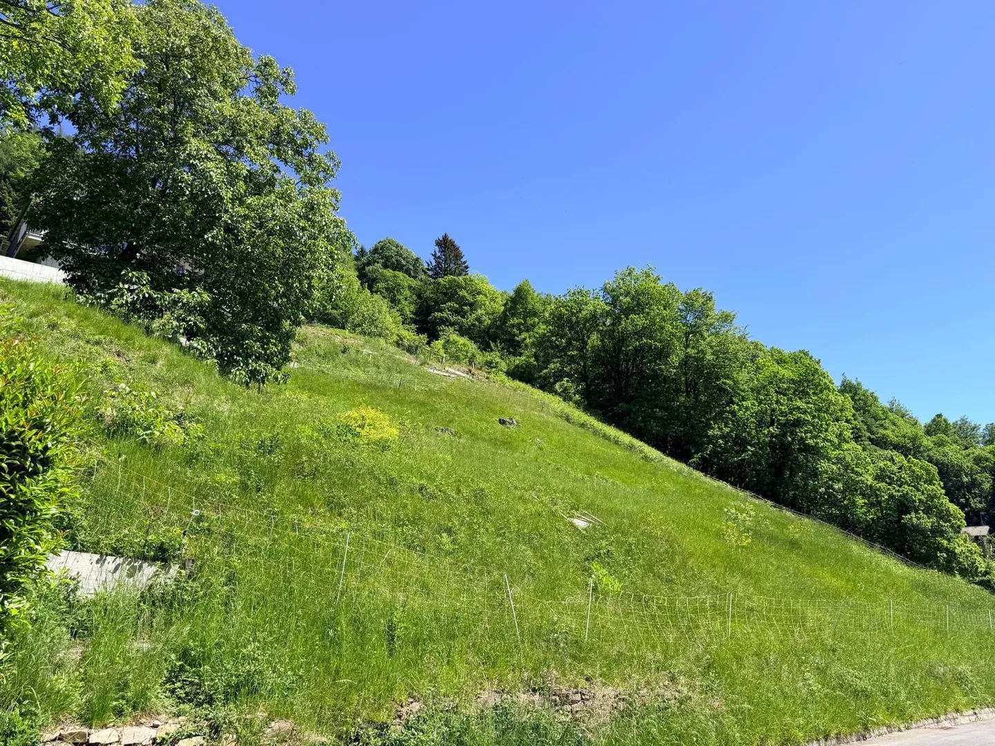 BAUBARES GRUNDSTÜCK VON 1237 MQ MIT PANORAMABLICK - ARANNO - Foto 2 von 6